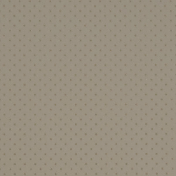 resine-france-ortho
