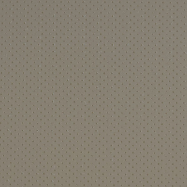 resine-france-ortho
