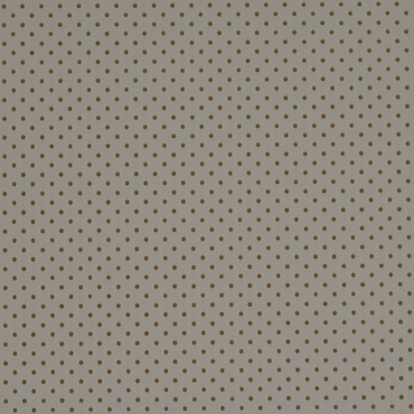 resine-france-ortho